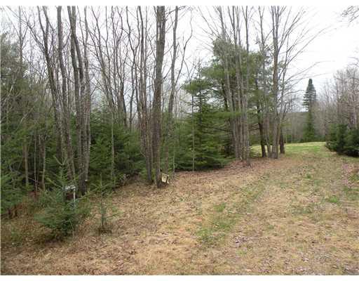 783 Waterford Road Norway, ME 04268 - Photo 6 of 11 Land/Lot.