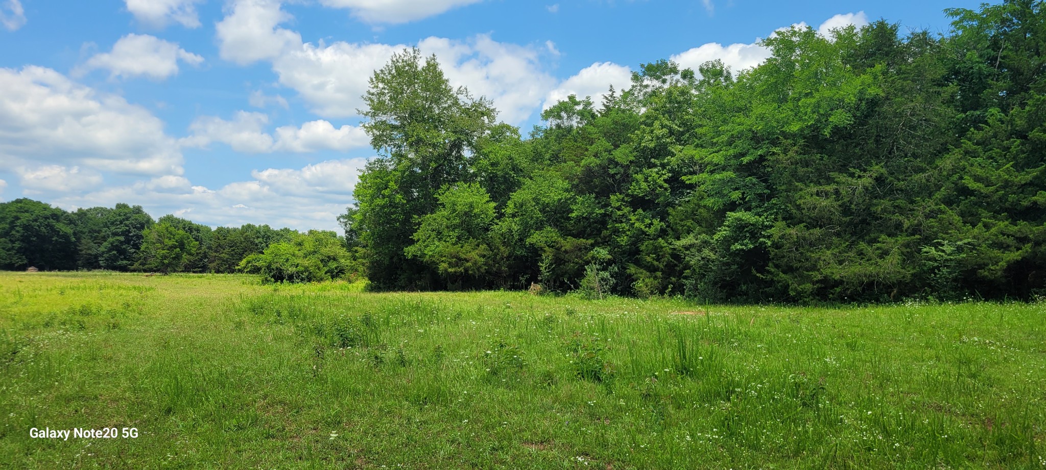 1 Clem Creek Road Chapel Hill, TN 37034 - Photo 2 of 12