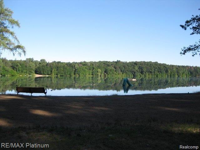 2774 North Tipsico Lake Road Hartland, MI 48353 - Photo 27 of 33 summer lake 2.jpg