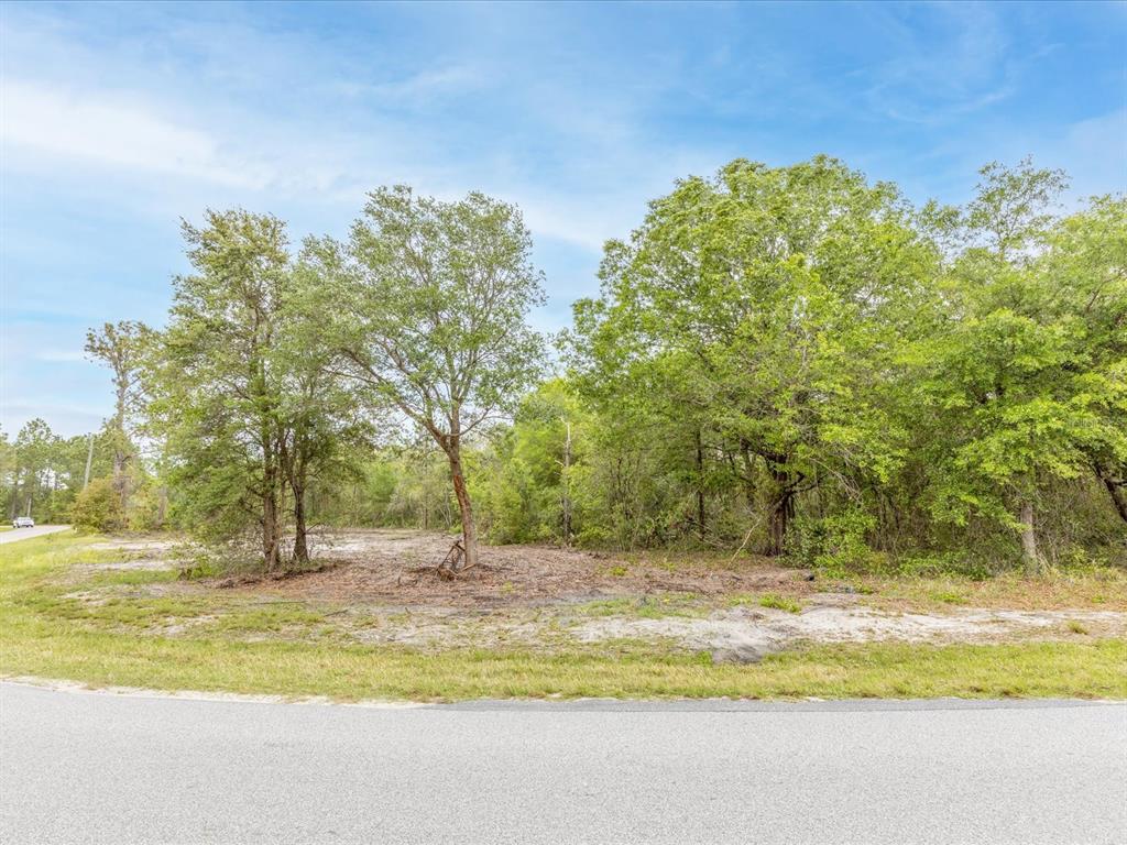 0 Florida Boys Ranch Road Clermont, FL 34711 - Photo 1 of 1
