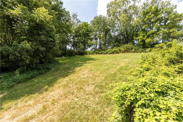 a view of yard with green space