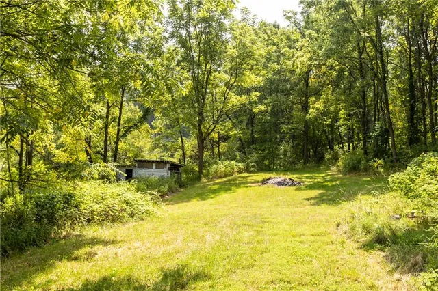 a view of a yard with a trees