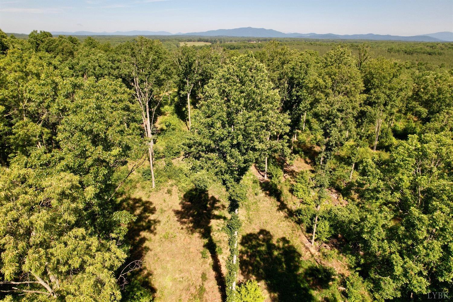 1-6 Old Glade Estate Road Amherst, VA 24521 - Photo 22 of 23 Gallery Image 22