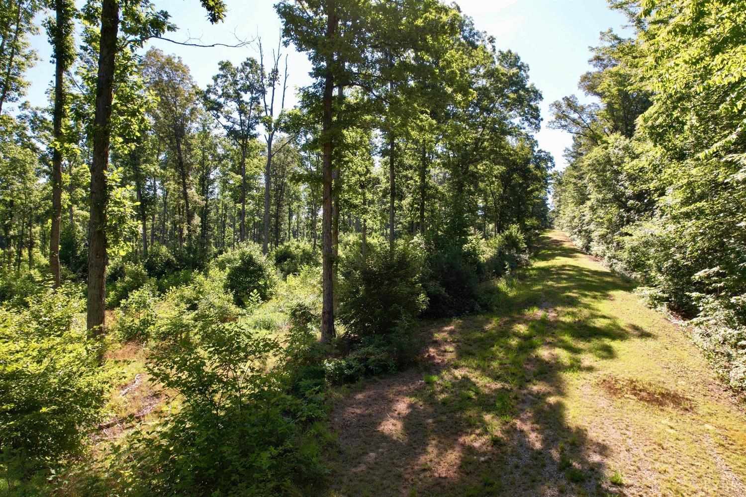 1-6 Old Glade Estate Road Amherst, VA 24521 - Photo 5 of 23 Gallery Image 5