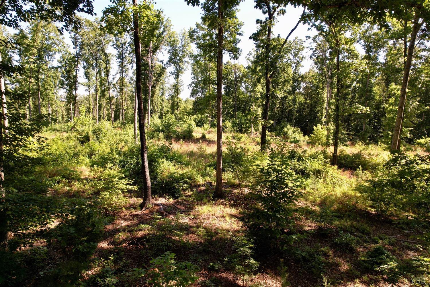 1-6 Old Glade Estate Road Amherst, VA 24521 - Photo 6 of 23 Gallery Image 6