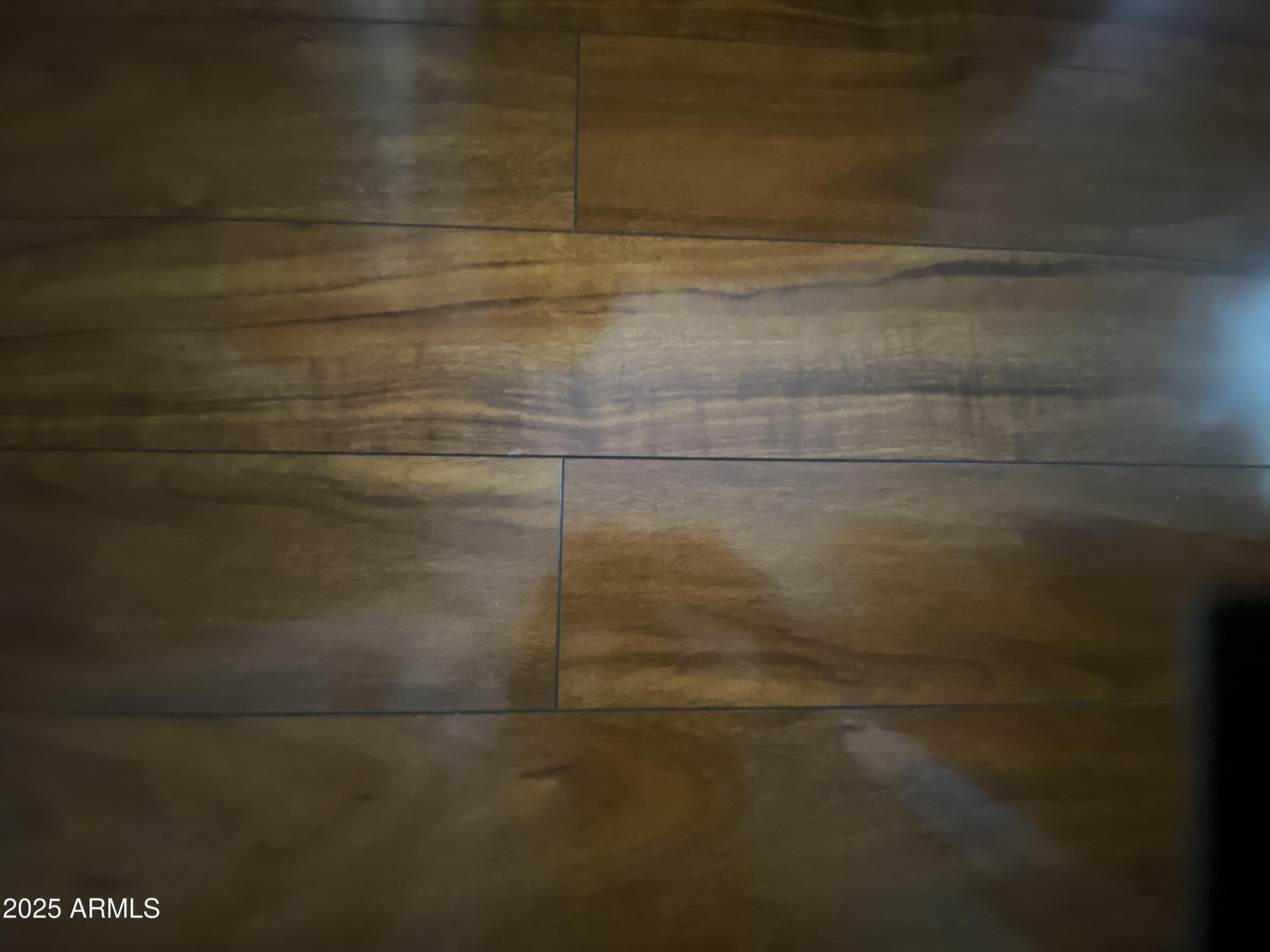 2209 West Klamath Avenue Apache Junction, AZ 85119 - Photo 4 of 30 a bathroom with a shower