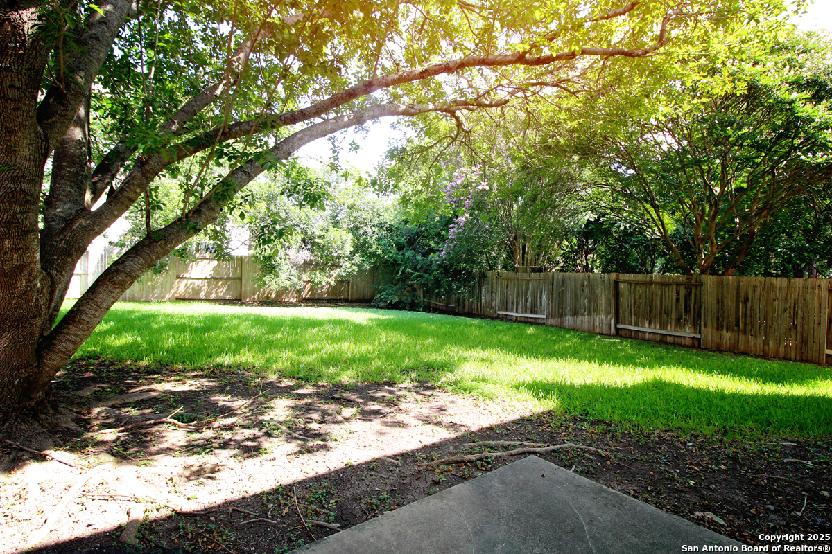 2703 Rio Brazos San Antonio, TX 78259 - Photo 32 of 34 a view of a yard with plants and large trees