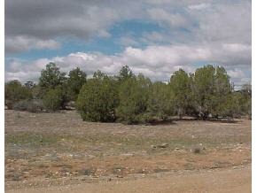 103 Dillon Wash Road Prescott, AZ 86305 - Photo 1 of 1 a view of a dry yard with trees in the background