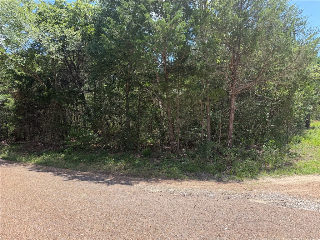 304 Overlook Loop Somerville, TX 77879 - Photo 13 of 17