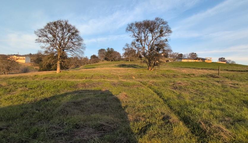 3669 Little John Road, Unit 1 Copperopolis, CA 95228 - Photo 7 of 25 Spring is around the corner. 3669 Little John Rd. 2.4 Acres. Ready for your custom home.