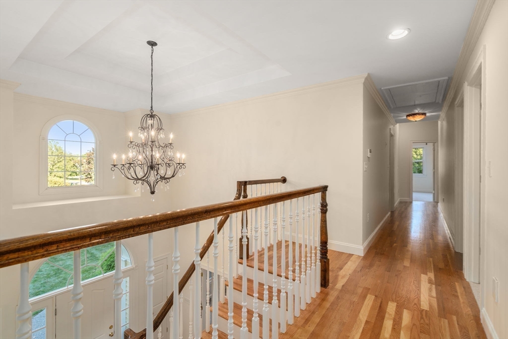 41 Oriole Road Medfield, MA 02052 - Photo 31 of 41 Gallery Image 31