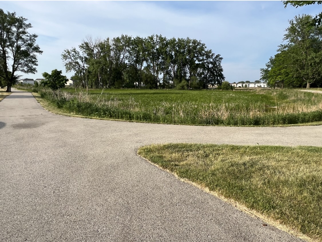 2406 Golf Ridge Circle Naperville, IL 60563 - Photo 22 of 22 a view of a yard with a fountain and a big yard