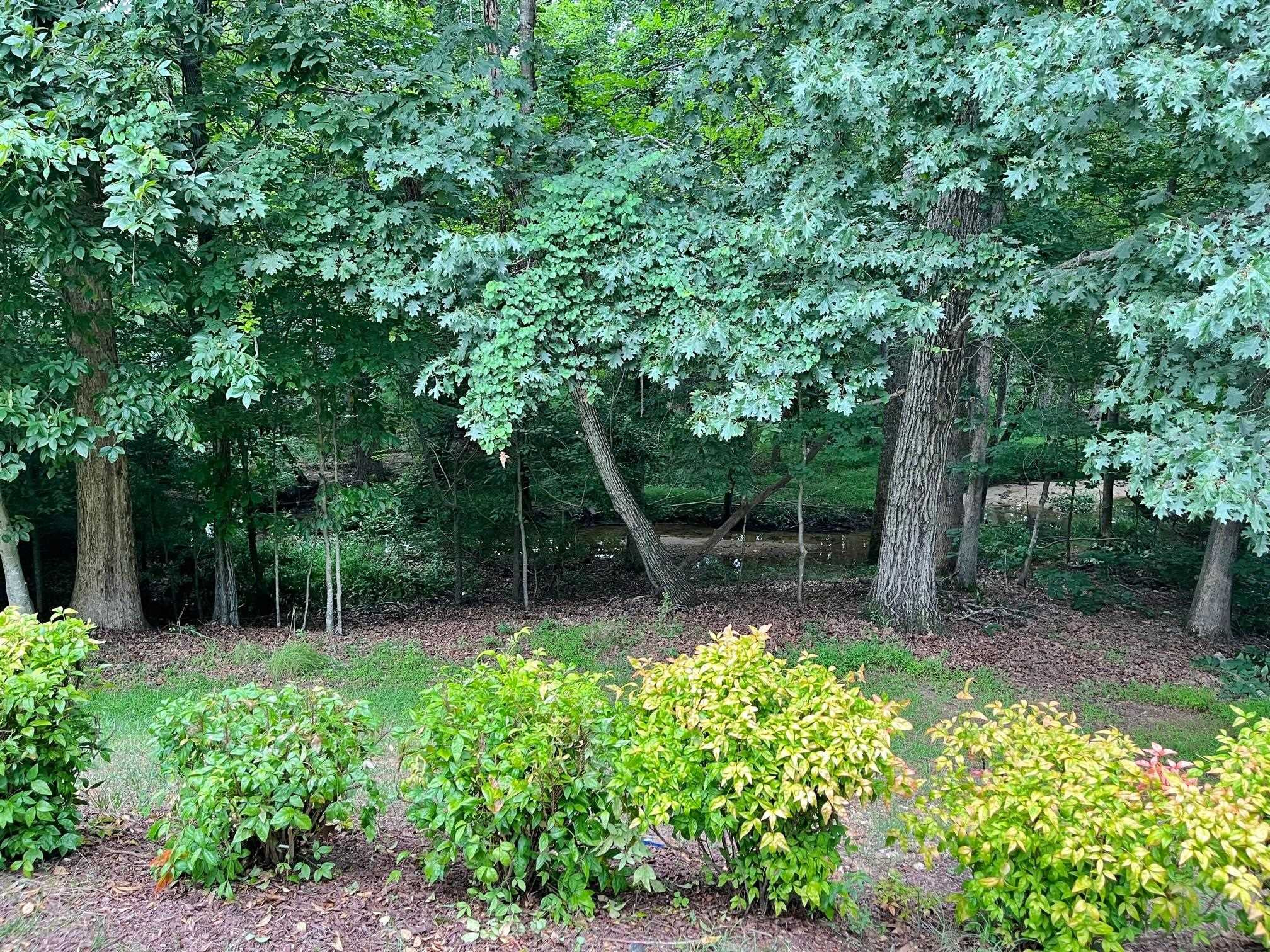 11259 Lofty Heights Place Raleigh, NC 27614 - Photo 18 of 18 a view of a backyard with plants and large trees