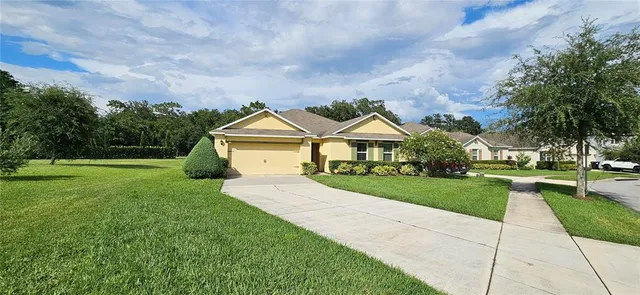 a view of house with garden