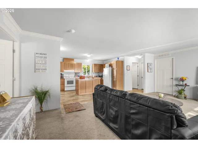 a living room with a couch and a potted plant