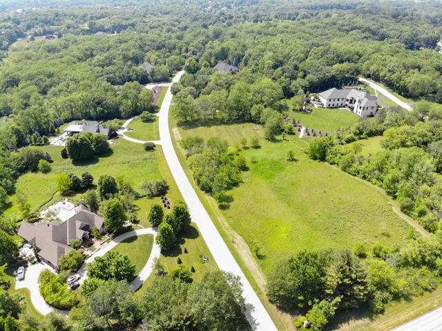 a view of a garden with plants