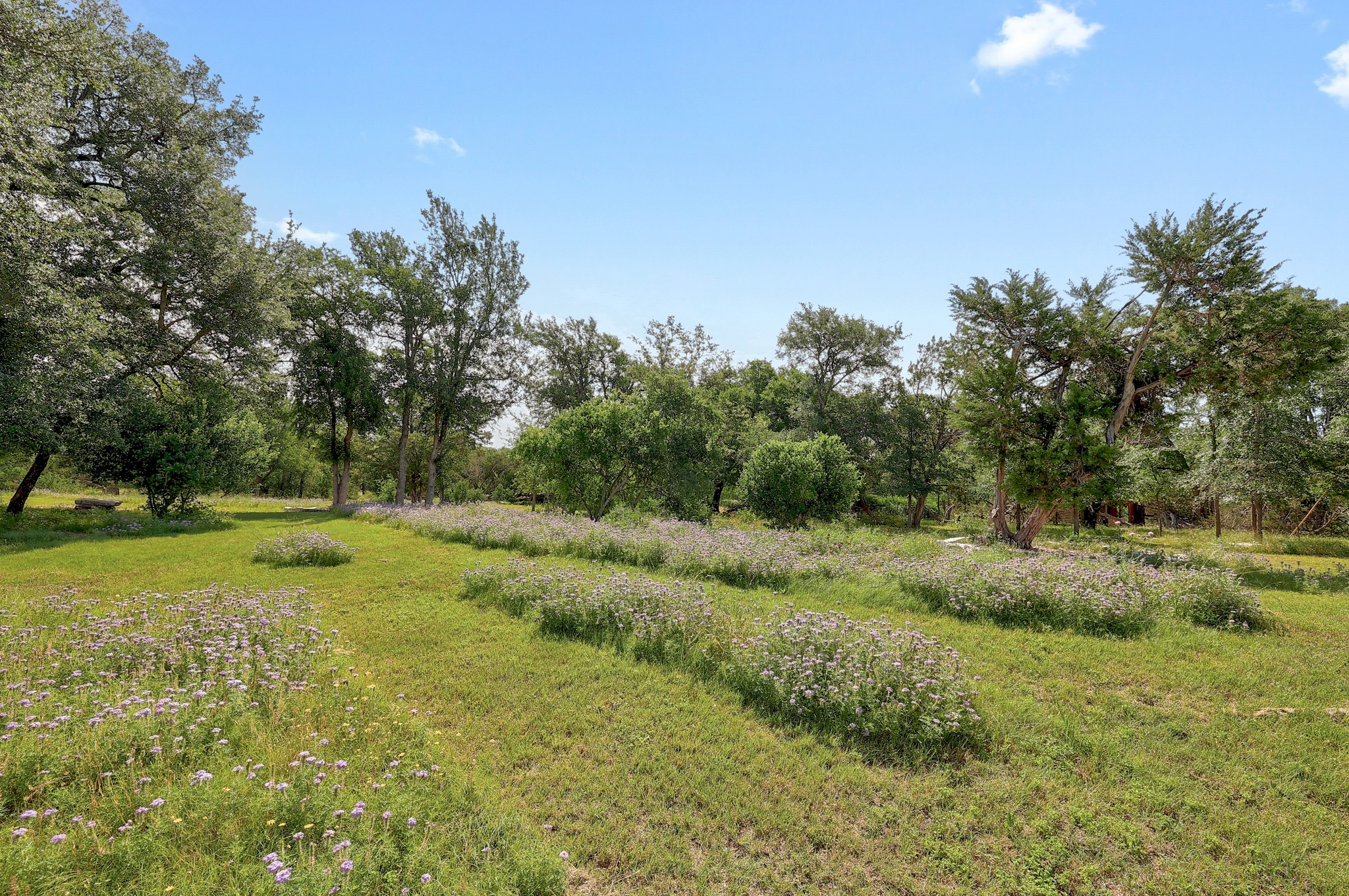 105 Arrowhead Road Georgetown, TX 78633 - Photo 2 of 40