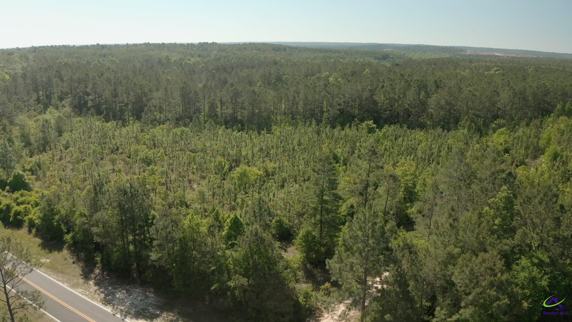 Carl Sutton Road Lizella, GA 31052 - Photo 1 of 23
