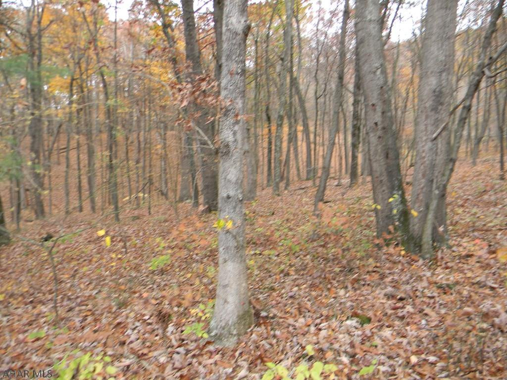 656 French Creek Road Everett, PA 15537 - Photo 6 of 6 a view of wooden fence