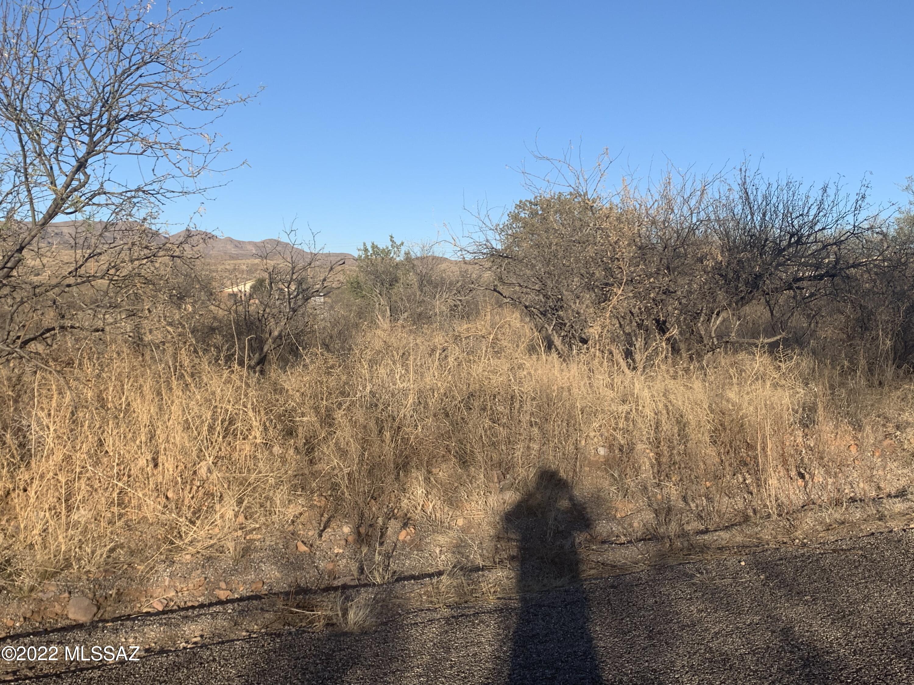 102 Circulo Penjamo, Unit 11 Rio Rico, AZ 85648 - Photo 7 of 12