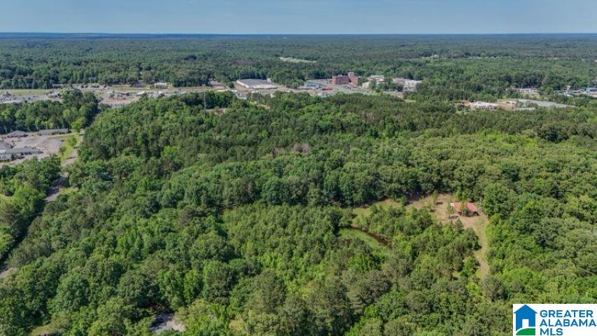 0 Jones Dairy Road Jasper, AL 35501 - Photo 6 of 14