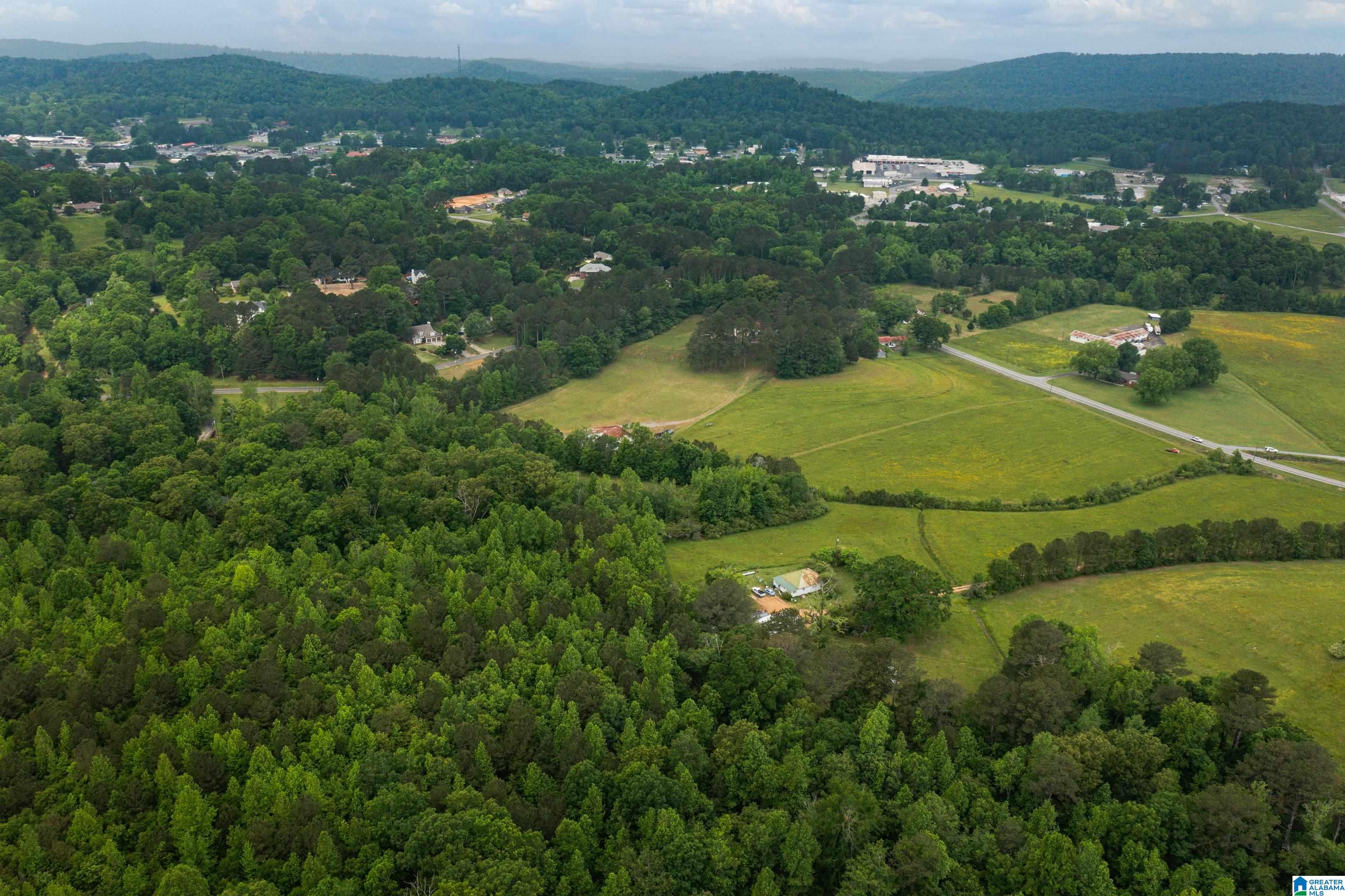 0 Valley Road, Unit 1 Oneonta, AL 35121 - Photo 10 of 19 Gallery Image 10