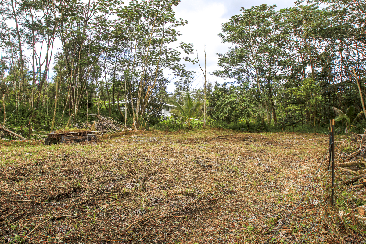 14-3439 Hilo Road Pahoa, HI 96778 - Photo 7 of 19 a backyard of a house with lots of green space