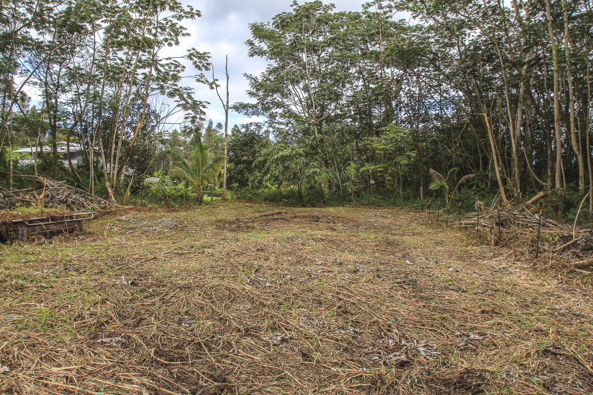 14-3439 Hilo Road Pahoa, HI 96778 - Photo 8 of 19 a view of outdoor space and yard