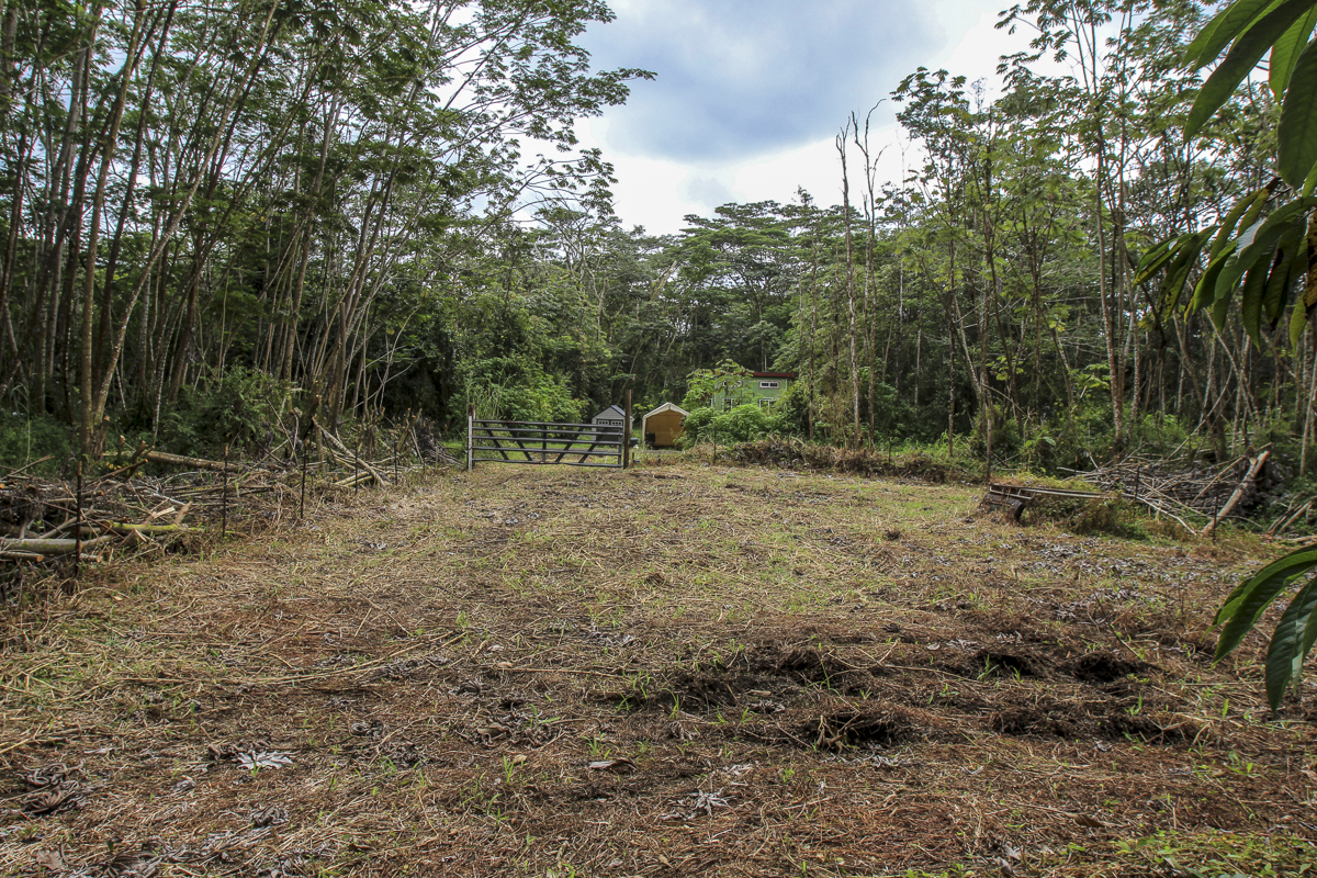 14-3439 Hilo Road Pahoa, HI 96778 - Photo 10 of 19 a view of outdoor space with trees