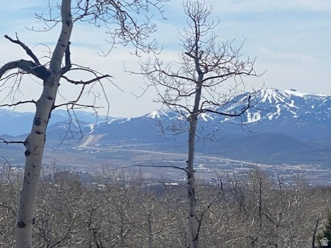 2604 South Forest Meadow Road, Unit C82 Coalville, UT 84017 - Photo 10 of 27 View of mountain backdrop