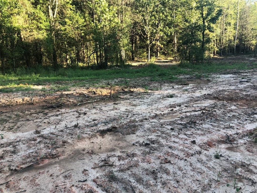 243 John Grey Road Iva, SC 29655 - Photo 2 of 2