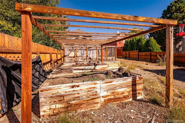 a view of a large tree
