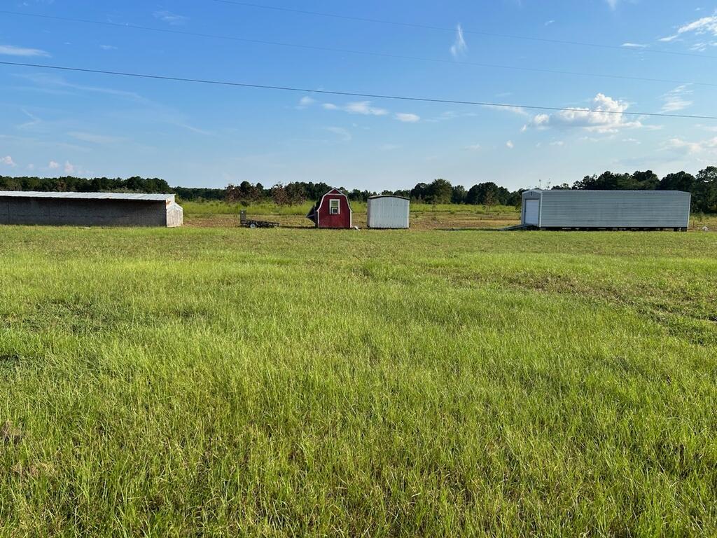 120 Junction City Road Mauk, GA 31058 - Photo 3 of 10 Gallery Image 3