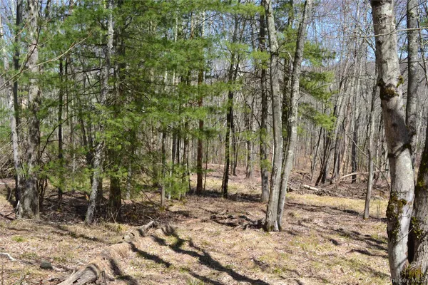 a view of outdoor space with lots of trees