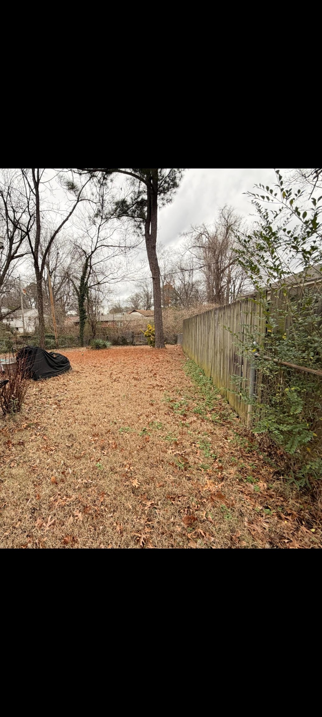 3220 Canyon Road Memphis, TN 38134 - Photo 4 of 16 View of yard