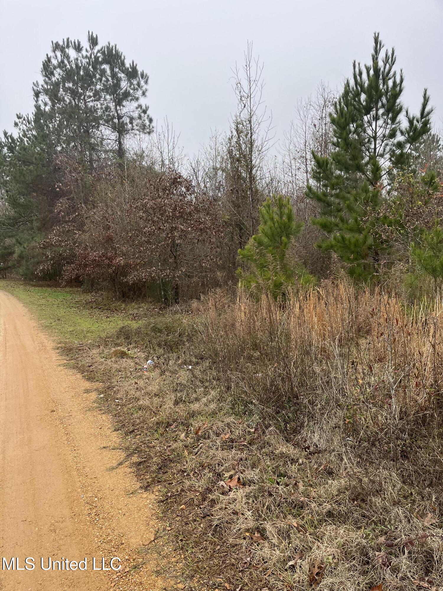 Coventry Road Natchez, MS 39120 - Photo 3 of 4 IMG_2843