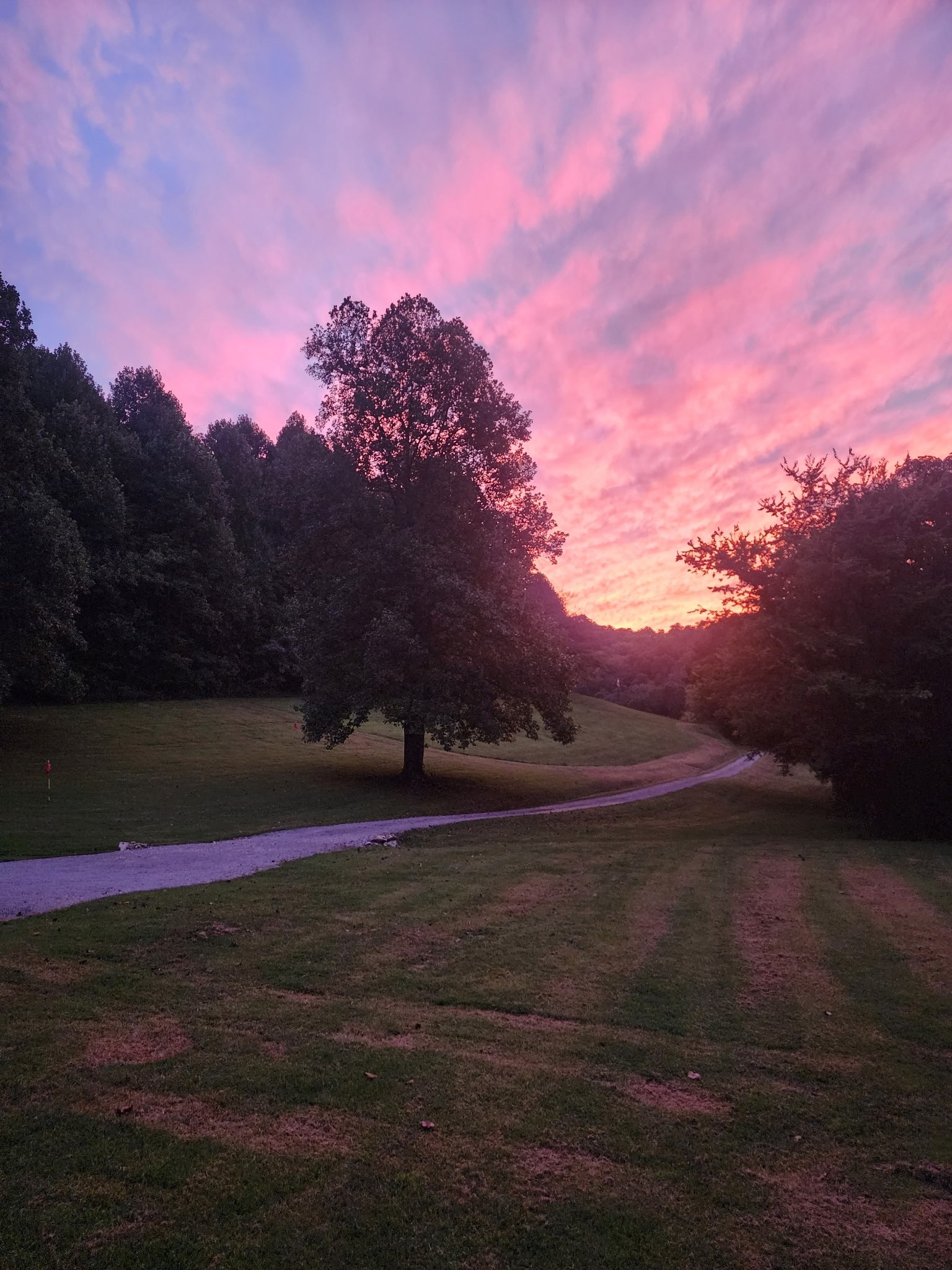 7401 Burks Hollow Road Christiana, TN 37037 - Photo 2 of 2