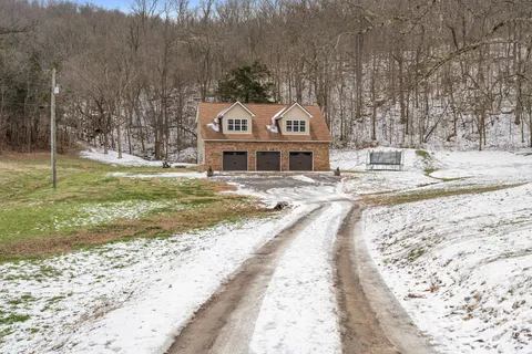 a view of a park that has a tree on the side of it