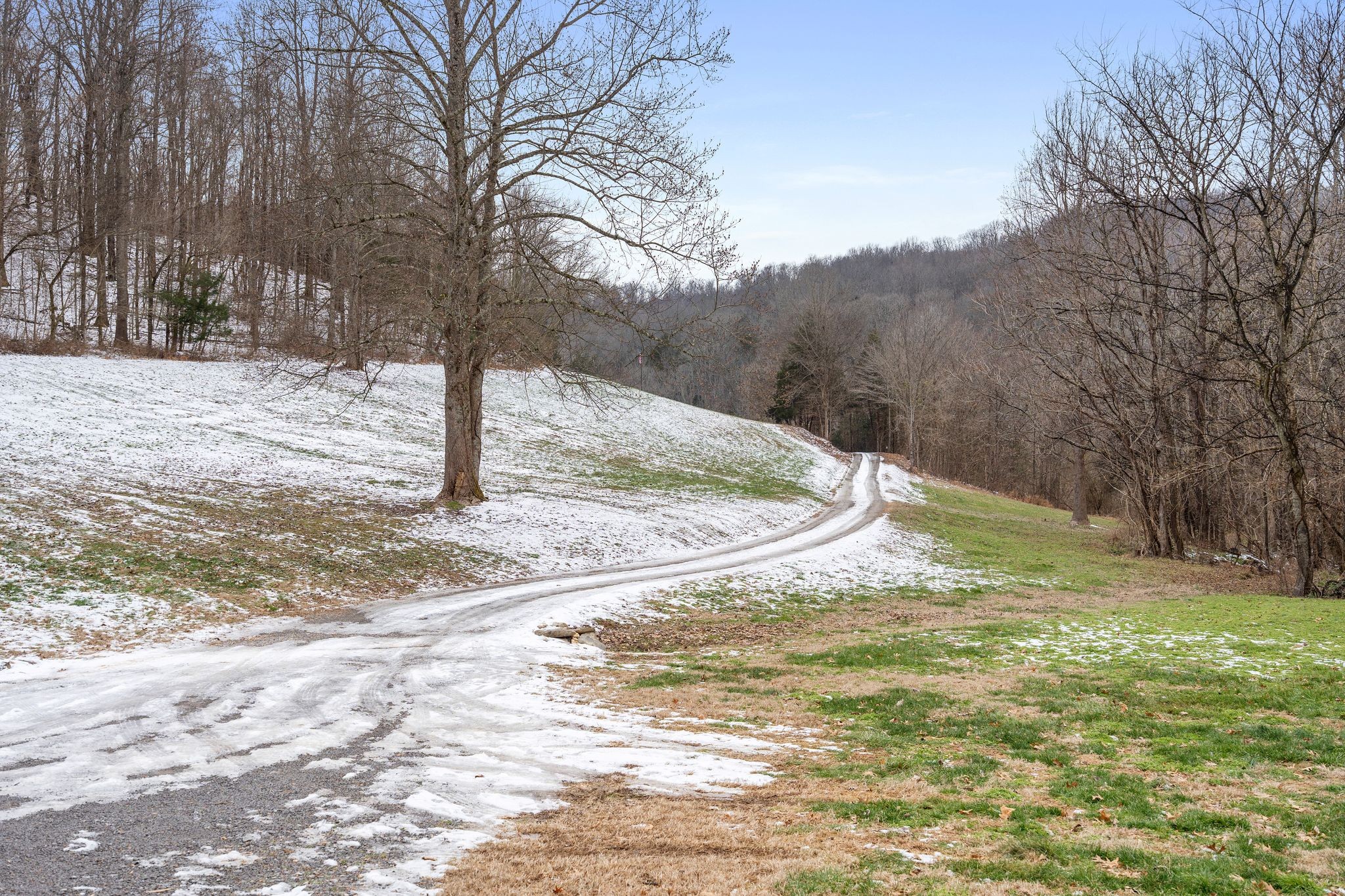 7401 Burks Hollow Road Christiana, TN 37037 - Photo 40 of 56 a view of a yard with large trees