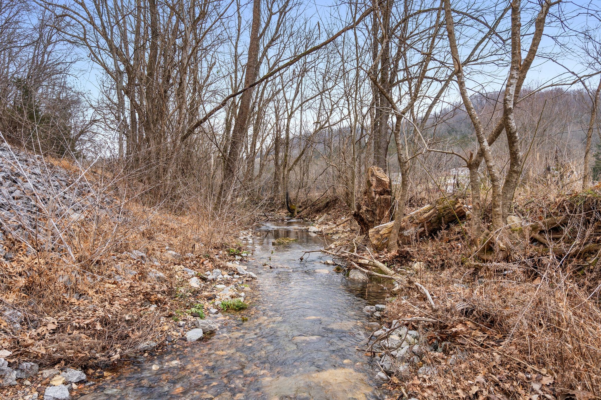 7401 Burks Hollow Road Christiana, TN 37037 - Photo 41 of 56 a backyard of a house with lots of green space