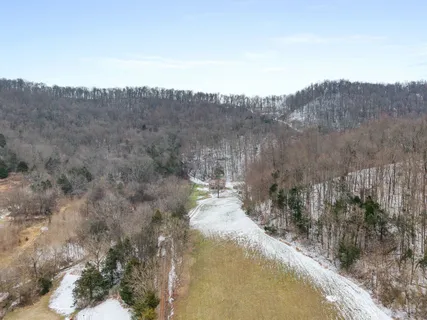 a view of a forest with a mountain in the background