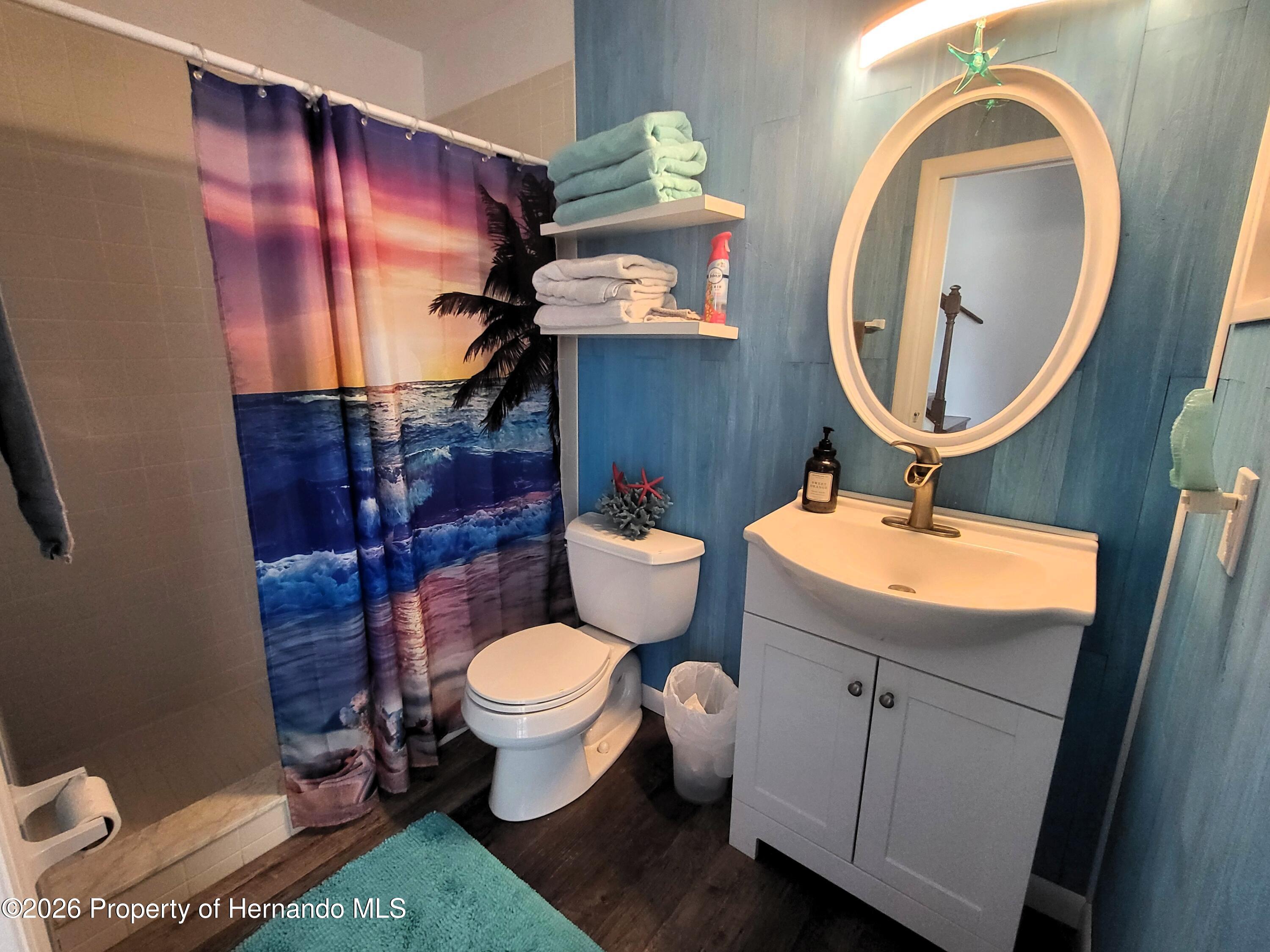3461 Pandora Drive Weeki Wachee, FL 34607 - Photo 27 of 61 Guest Bathroom