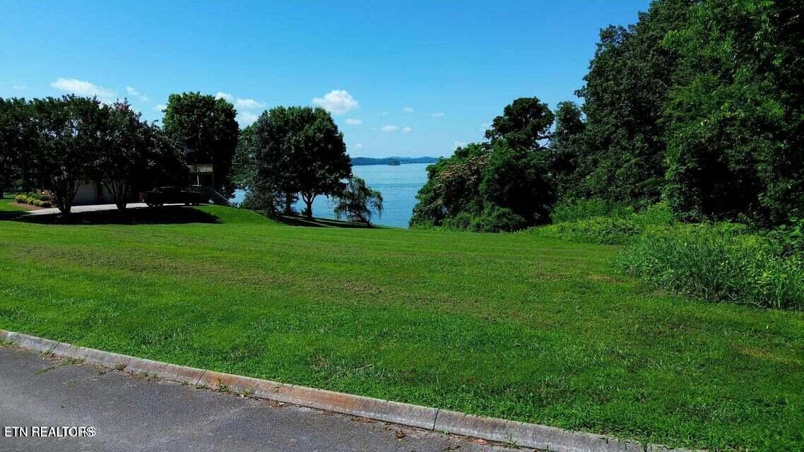 Mallard Baye Rutledge, TN 37861 - Photo 2 of 12 20250622221301581814000000-o