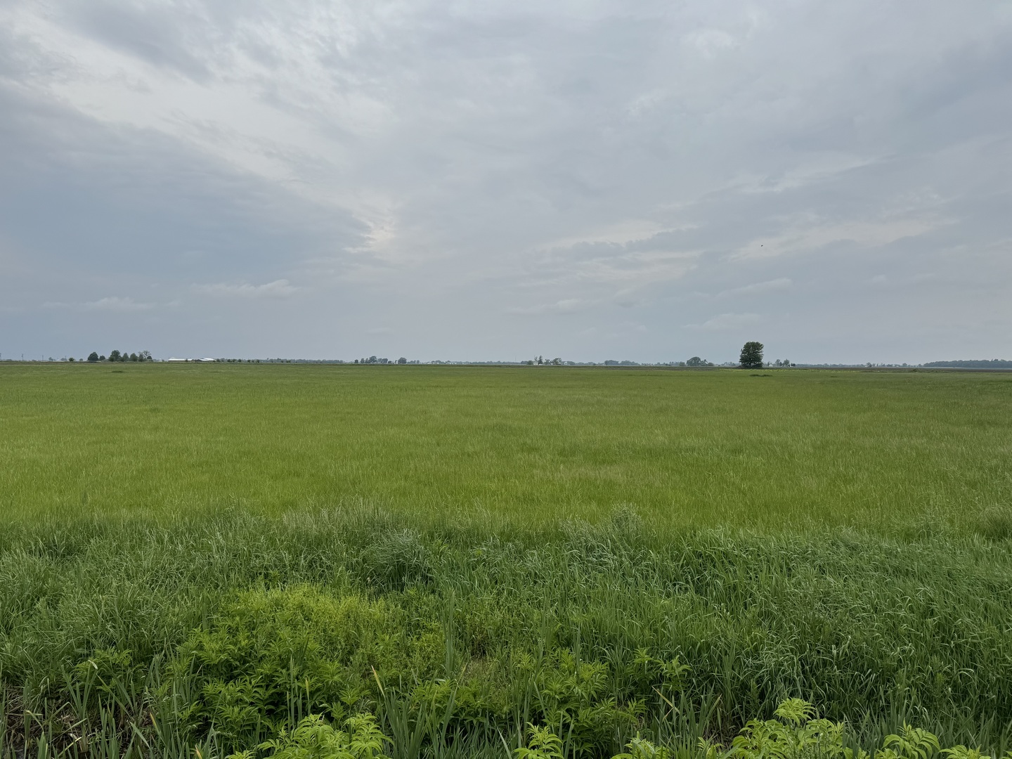 375 North 9000W Road Bonfield, IL 60913 - Photo 1 of 12 Gallery Image 1