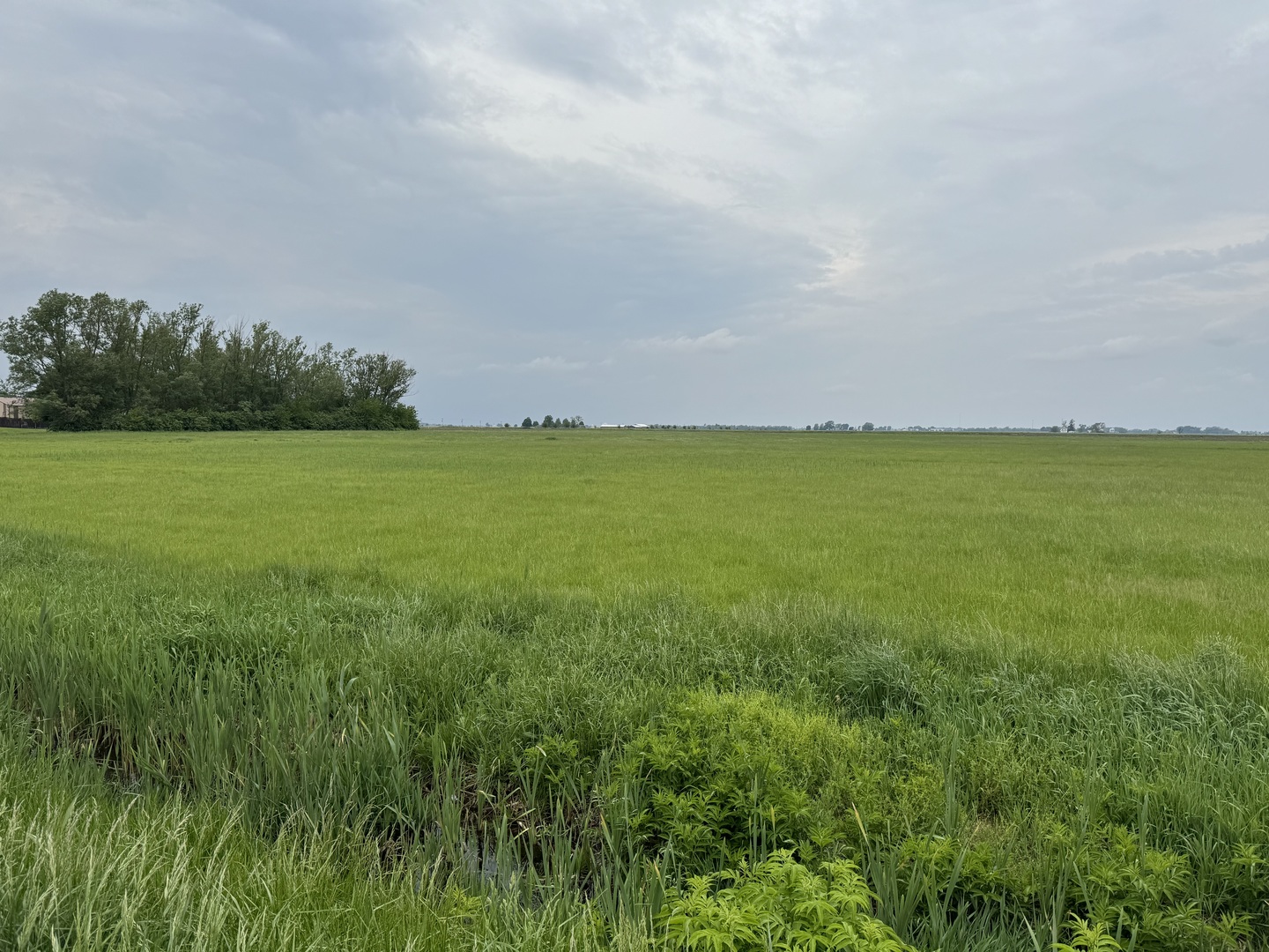 375 North 9000W Road Bonfield, IL 60913 - Photo 5 of 12 Gallery Image 5