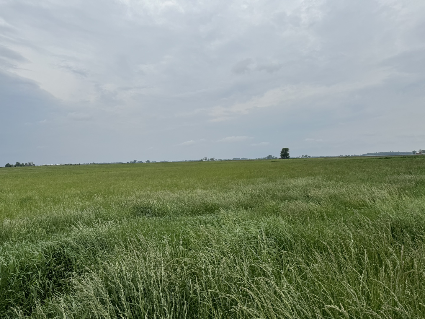 375 North 9000W Road Bonfield, IL 60913 - Photo 8 of 12 Gallery Image 8