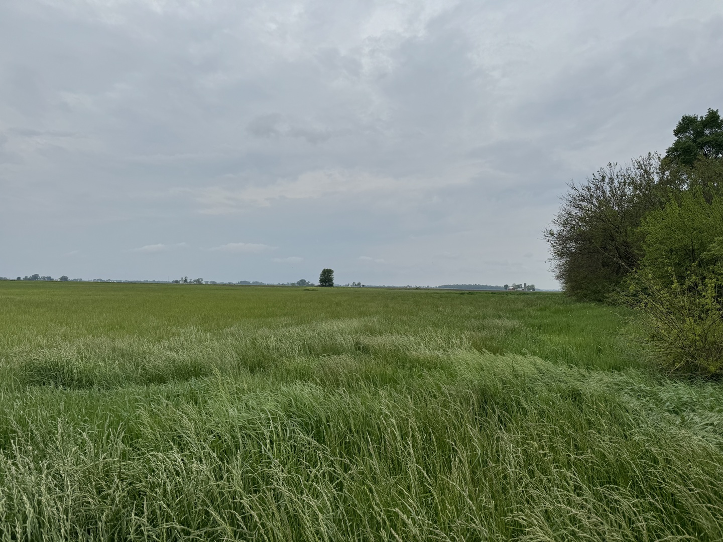 375 North 9000W Road Bonfield, IL 60913 - Photo 9 of 12 Gallery Image 9