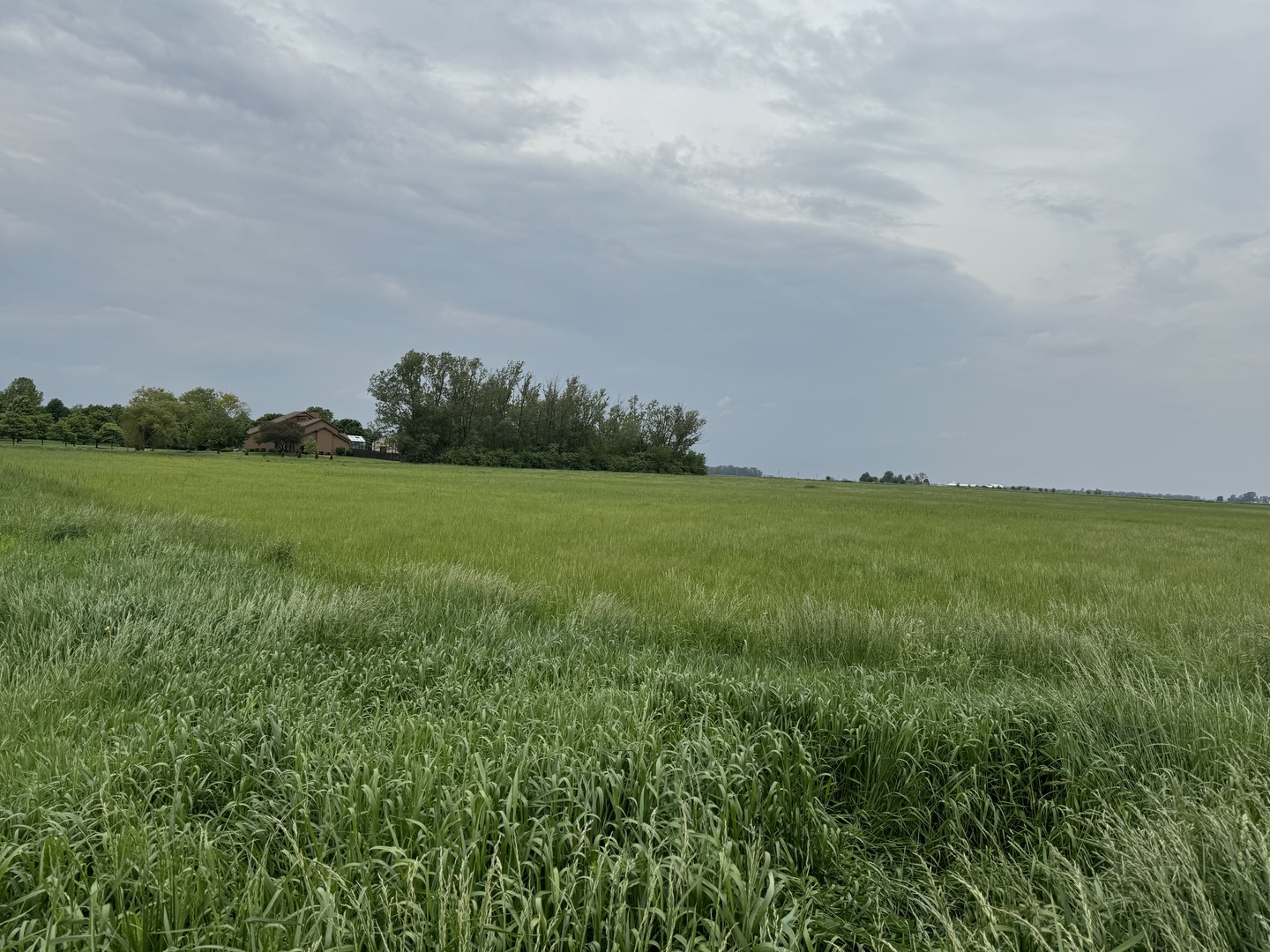 375 North 9000W Road Bonfield, IL 60913 - Photo 10 of 12 Gallery Image 10