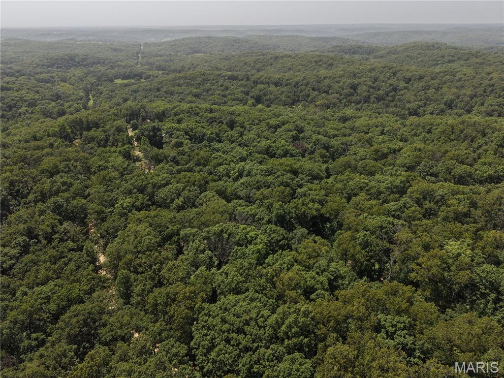 0 Gibson Road Lonedell, MO 63060 - Photo 21 of 28