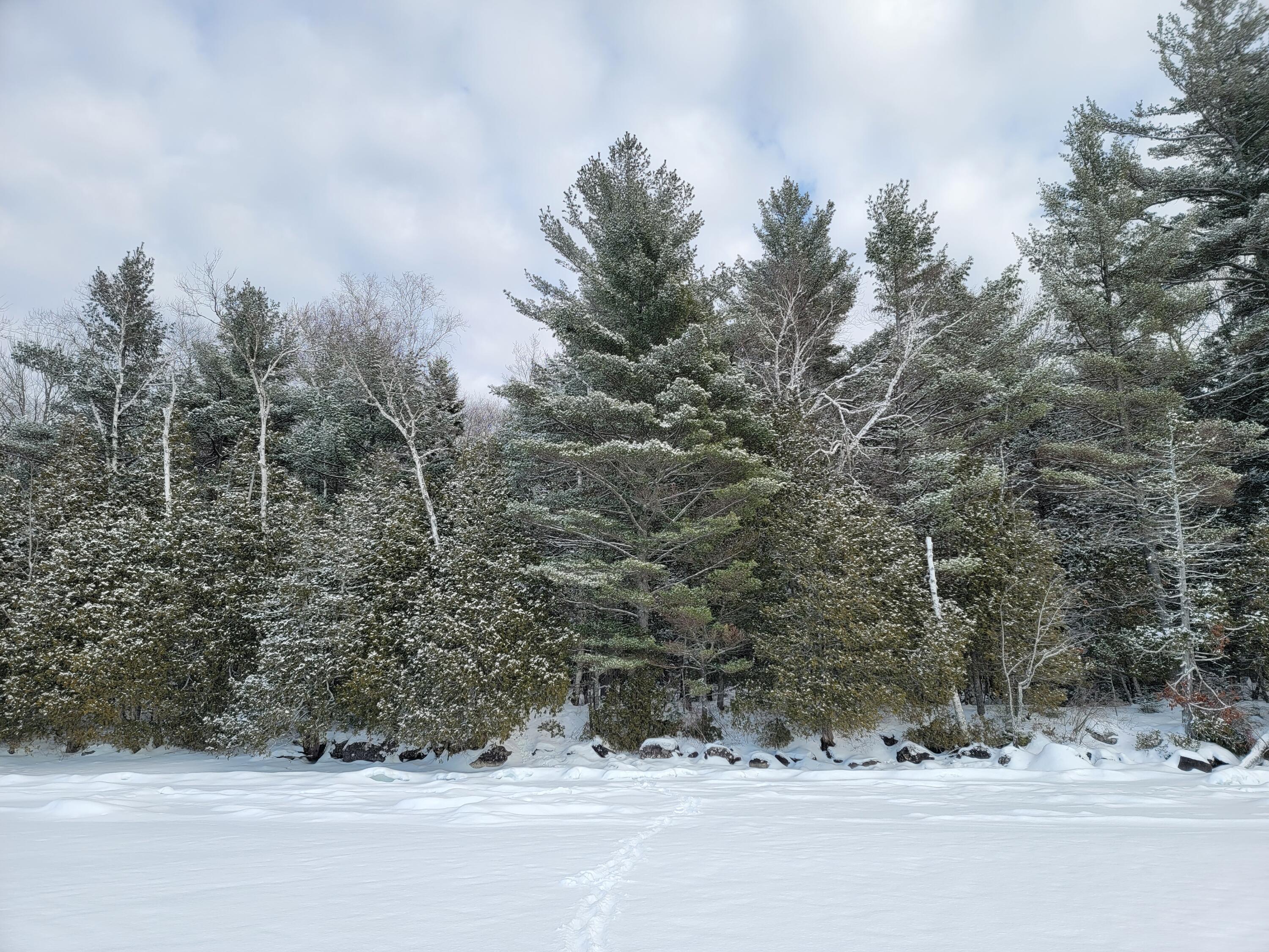 0 Railroadbed Rd Lake View Milo, ME 04463 - Photo 12 of 68 20220125_143640